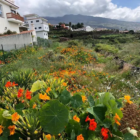 Residenz Traumblick Puerto de la Cruz