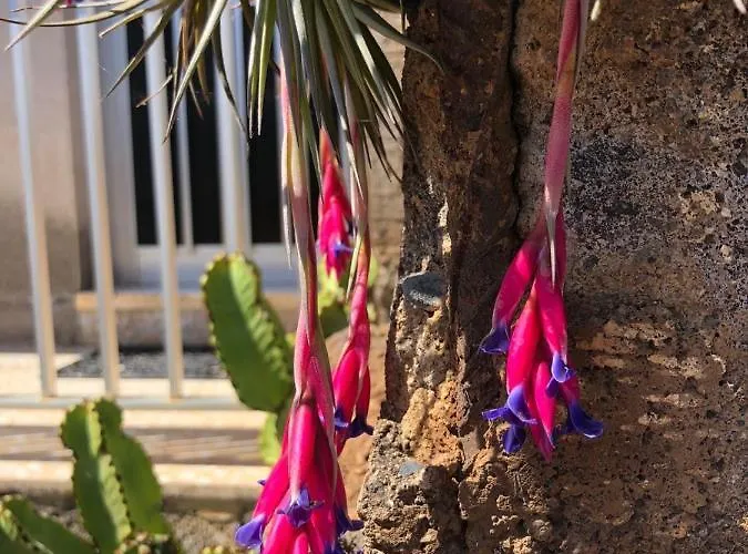 Residenz Traumblick Appartamento Puerto de la Cruz (Tenerife)