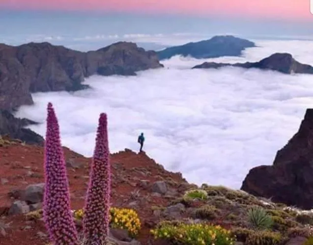 Residenz Traumblick *