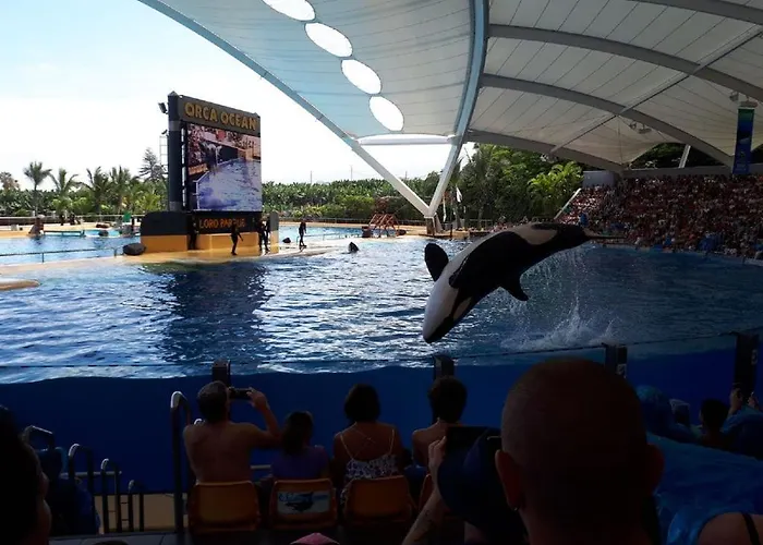 Residenz Traumblick *