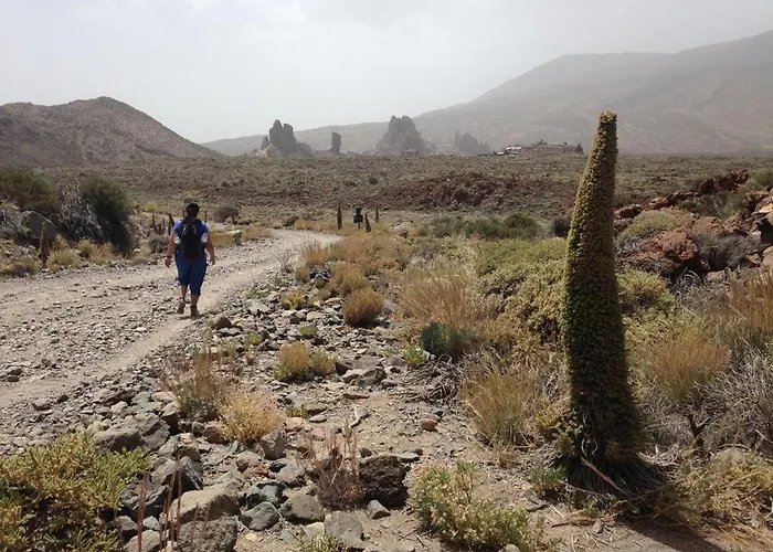 Appartamento Residenz Traumblick Puerto de la Cruz (Tenerife)